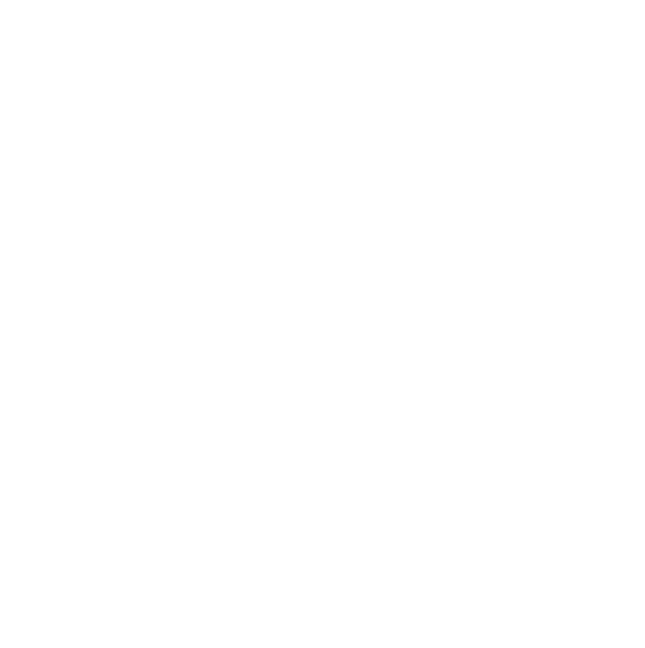 diamir.io Logo